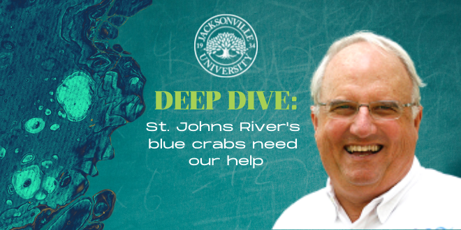 Deep Dive: St. Johns River's blue crabs need our help