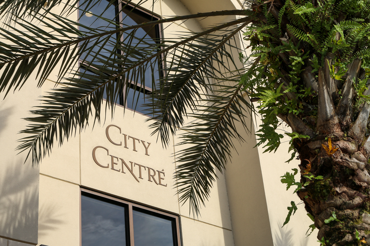 Front of a building with "City Center" written on it partially covered by a palm tree