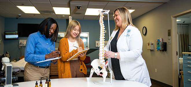 Occupational therapy students study the human body