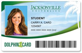 card dolphin cards identification jacksonville university normal