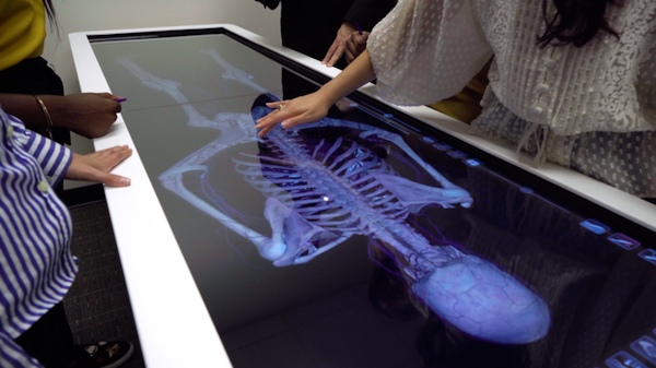 Students exploring the skeletal system on an x-ray table.