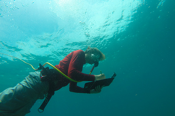 A student completing research underwater.