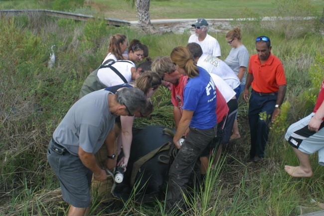 Manatee rescues and assists with FWC