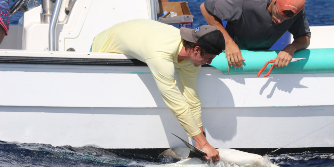 two male students, one in a long sleeve yellow shirt and one in a dark grey short sleeve shirt, are leaning over a white boat, grabbing a caught  fish.