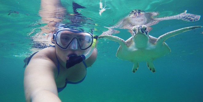 snorkeler swims alongside sea turtle
