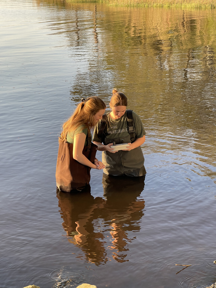 Two female JU students study marine research tool while standing in the coastal water wearing waders