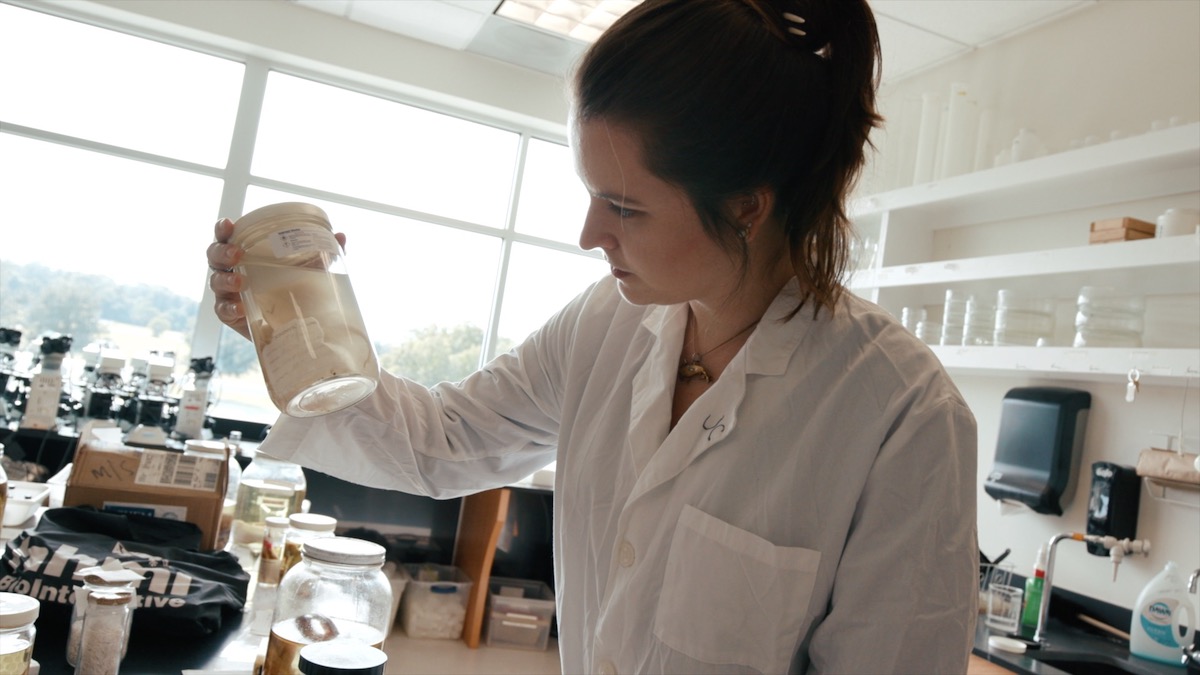A female student working in a laboratory with samples in jars.
