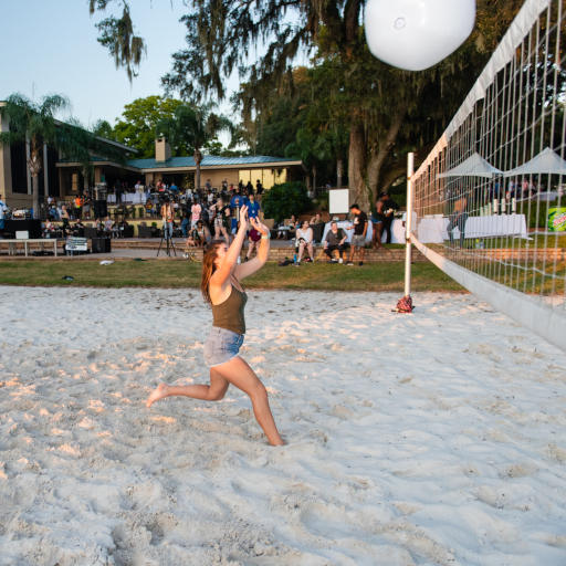 a voleyball player by the net