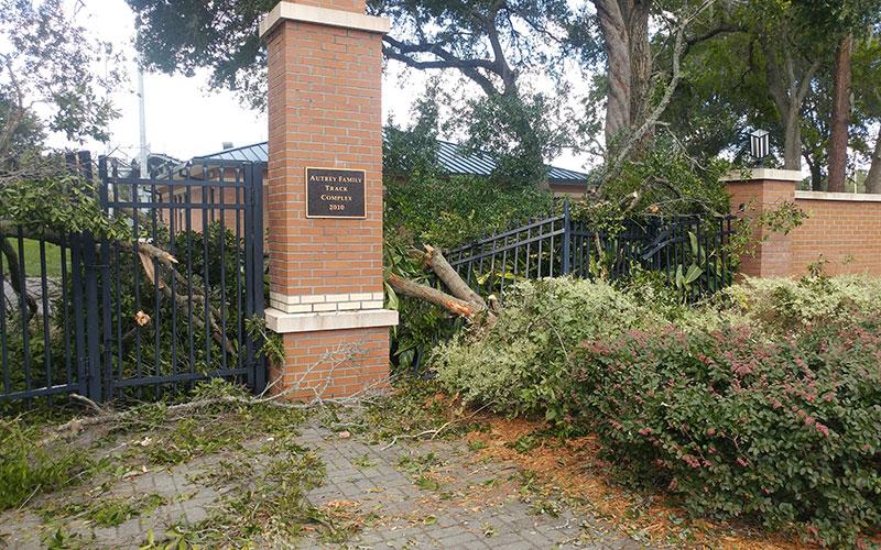 Tornado damage to the perimeter of D.B. Milne field