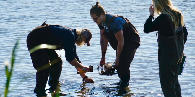 MSRI students tests reefs in the St. John's River