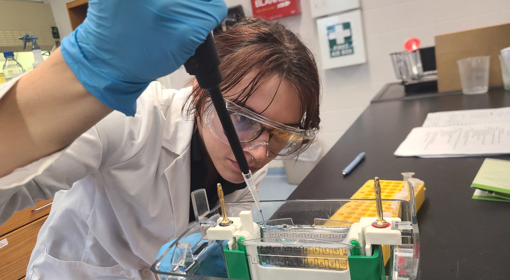 Students working on the computer at the biology lab
