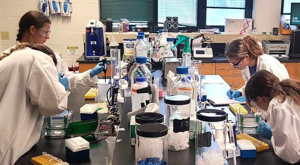Student wearing goggles and blue gloves and working with biology samples in a laboratory