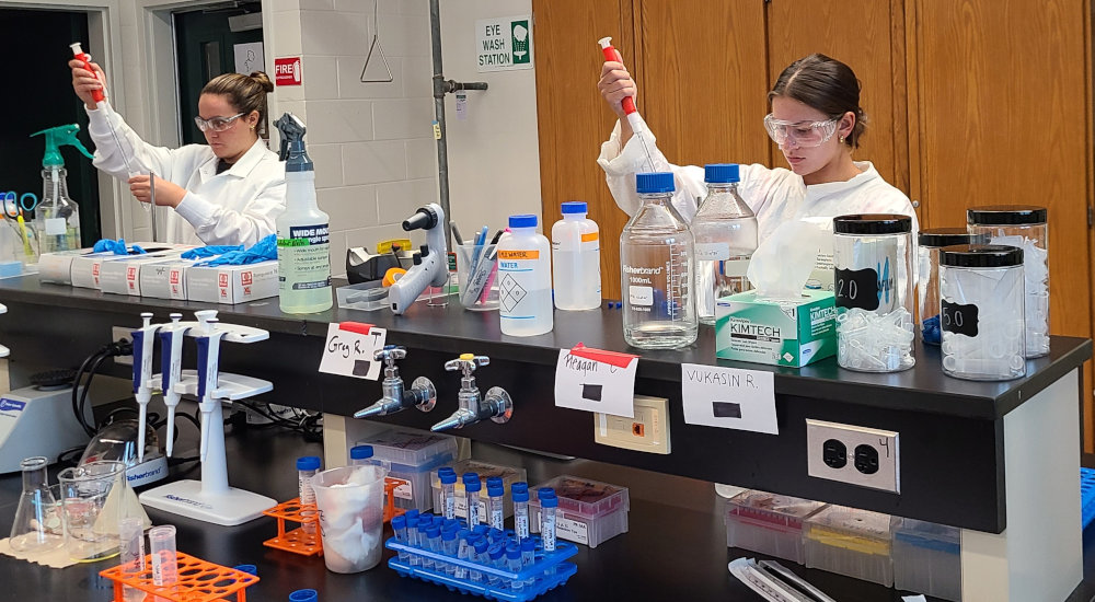 A group of students around the laboratory bench performing biology tests