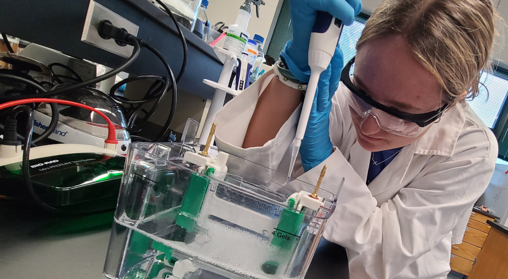 Student wears goggles, blue gloves and white coat in a laboratory setting using a white pipette.