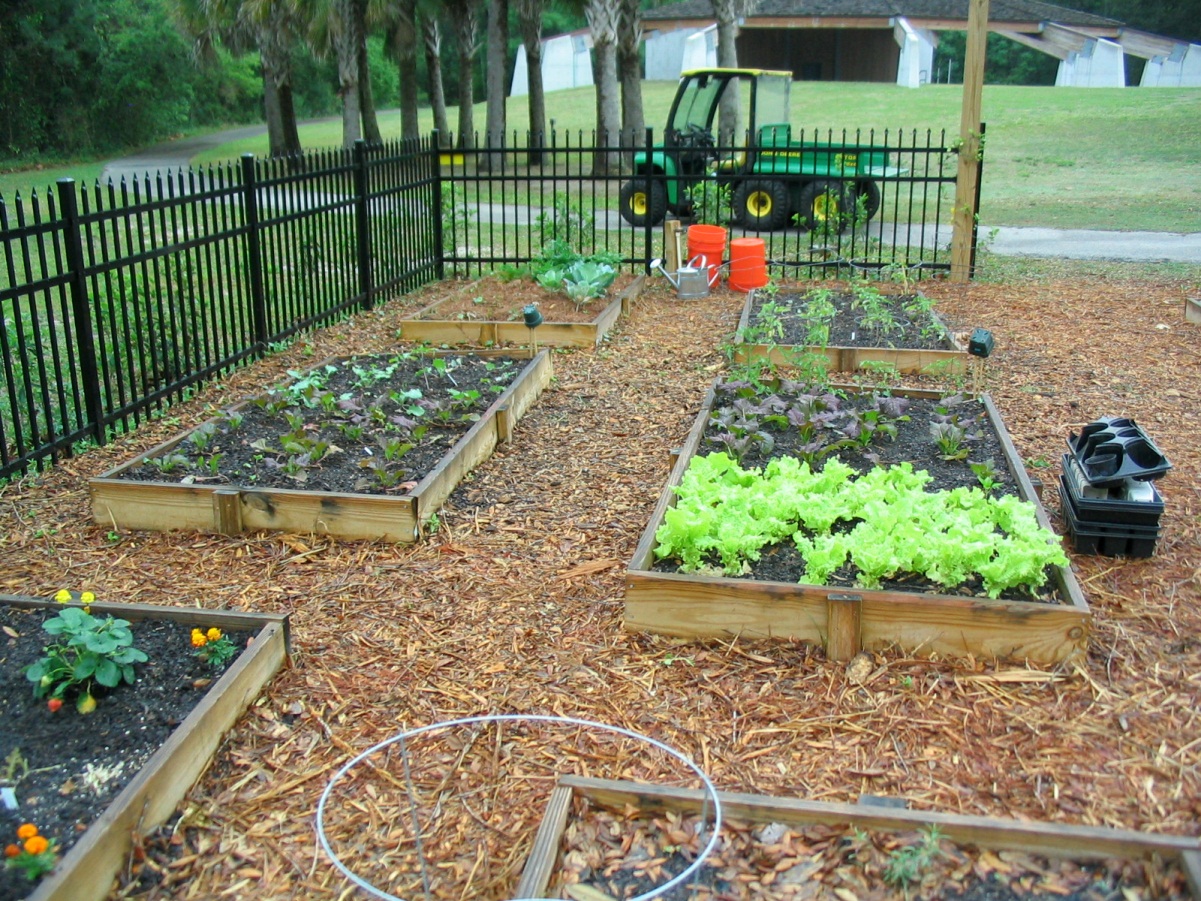 Arlington Community Garden