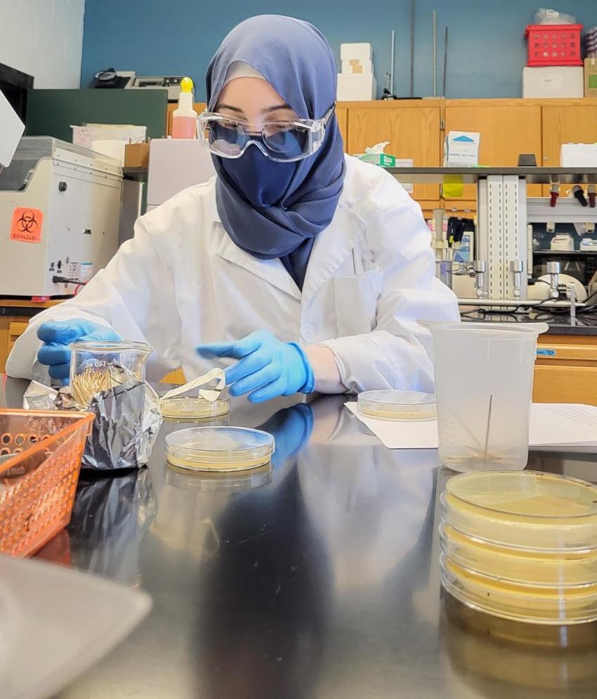 A student scientist in a lab coat and safety goggles works with petri dishes at a lab bench, wearing blue gloves.