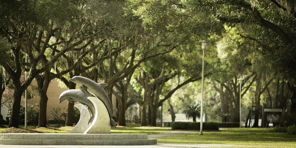 Campus Dolphins