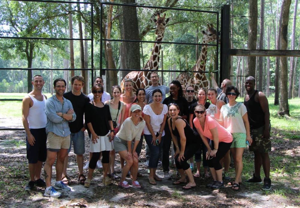 cohort 2015