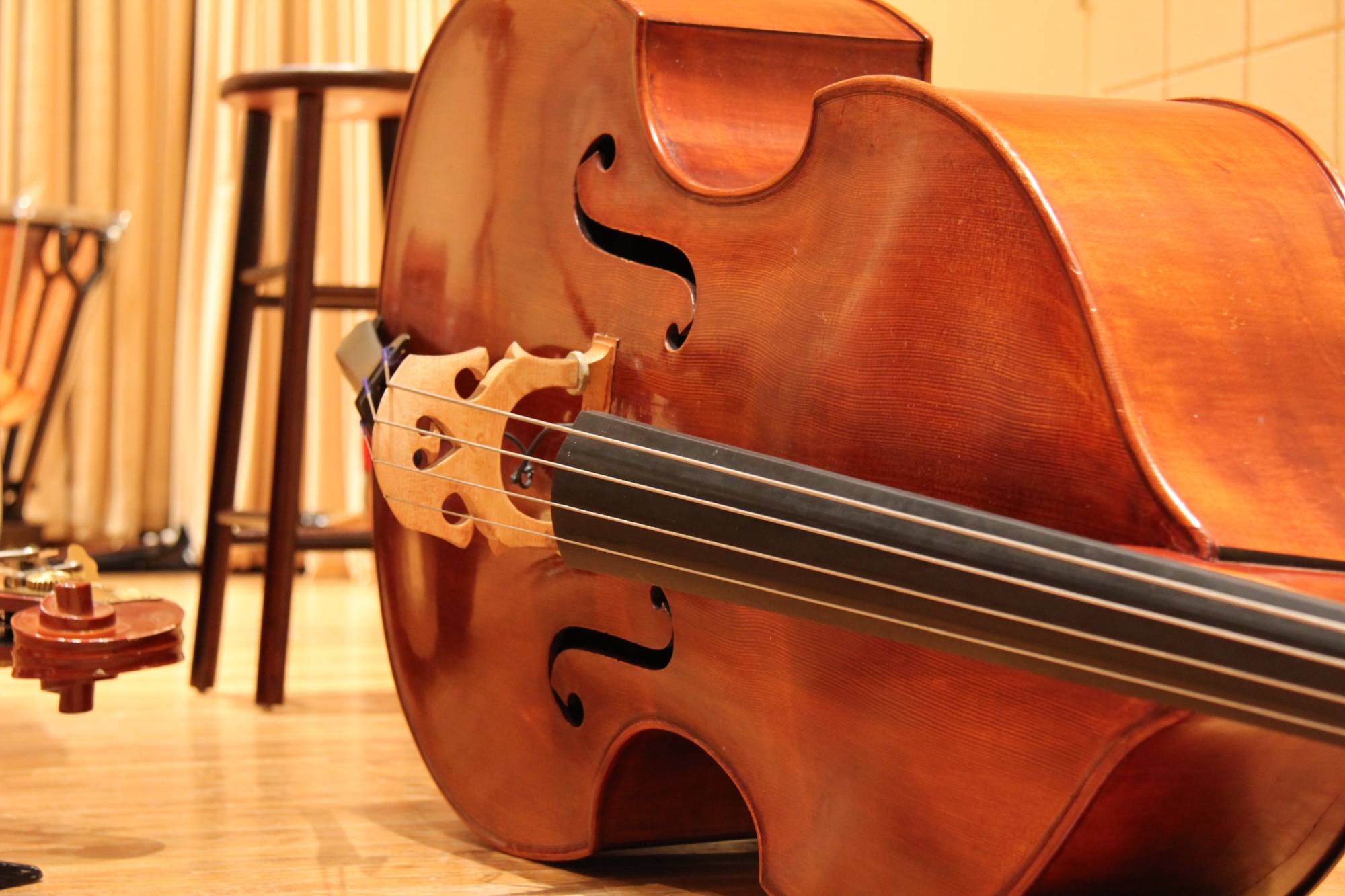 Upright Bass