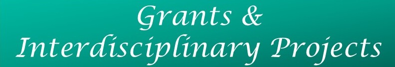 Grants and Interdisciplinary Projects