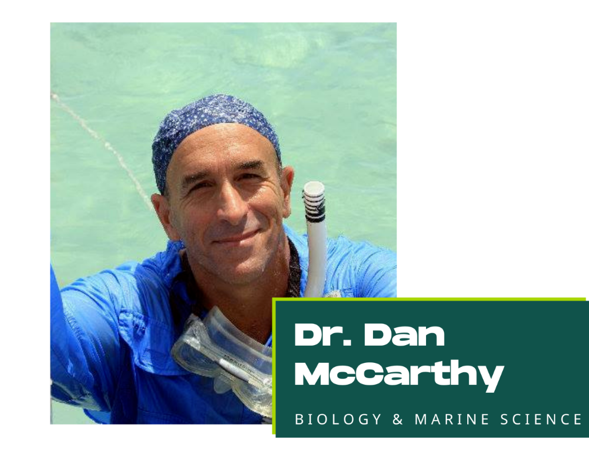 Dr. Dan McCarthy