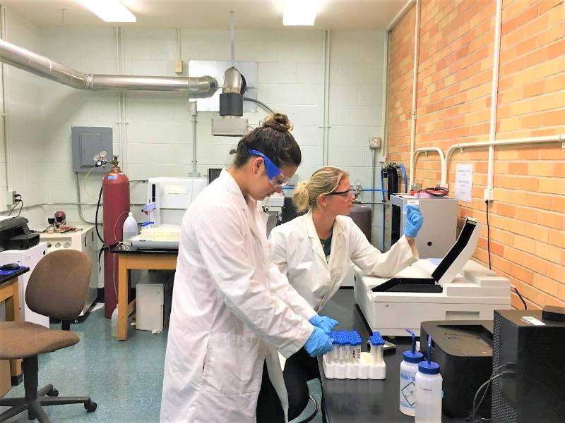 Students working in lab.