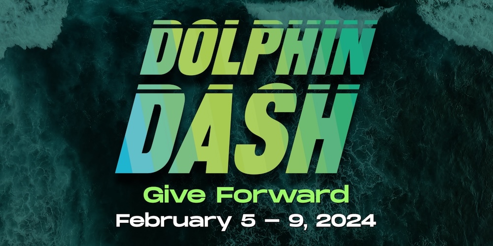 Dolphin Dash logo
