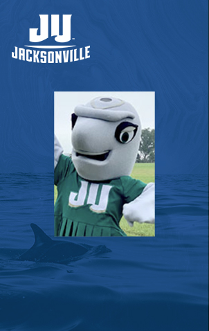 An example Dolphin Card.
