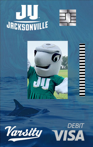 An example Dolphin Card.