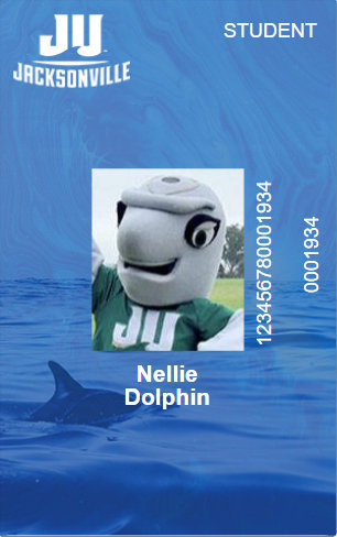 An example Dolphin Card with Nellie the Dolphin Mascot photo.