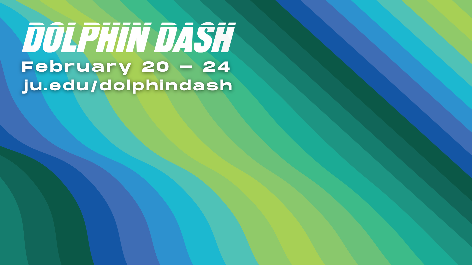 A virtual background showing the Dolphin Dash logo and the dates for 2023.
