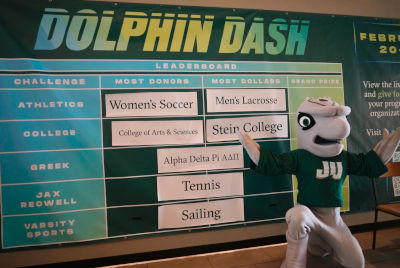 Dolphin Dash Challenges Board