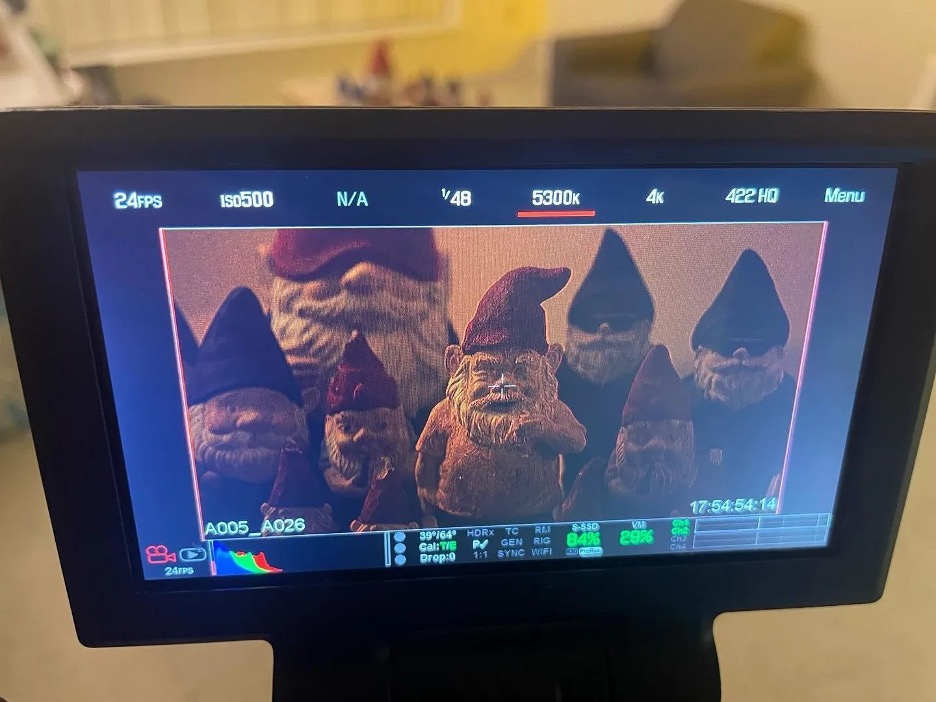Gnomes film still