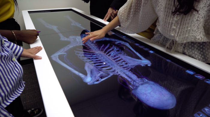 A female student's hand hovering over an anatomage table.