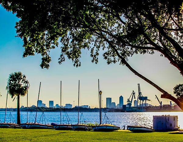 The St. Johns River from the shore of campus, with sunlight filtering through the trees.