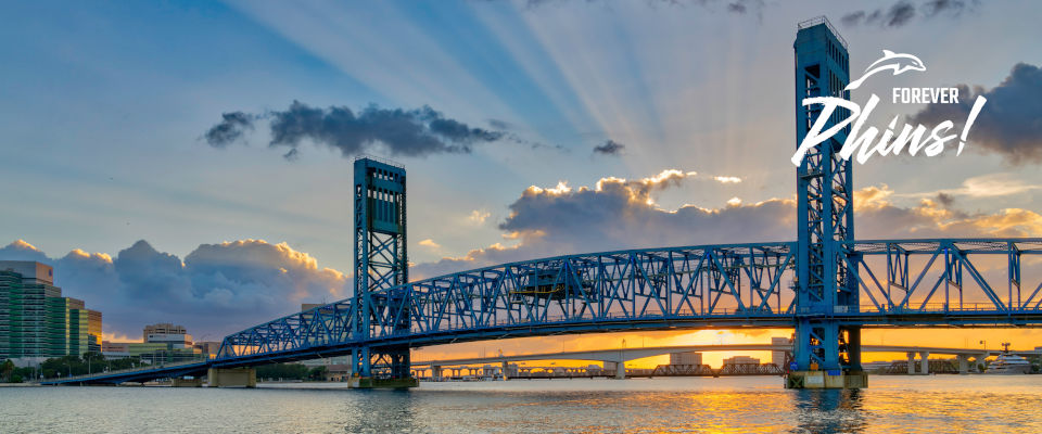 Jacksonville St John's River Bridge and Skyline