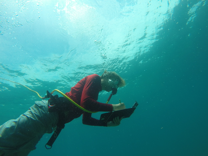 Male student writing on a pad under the water