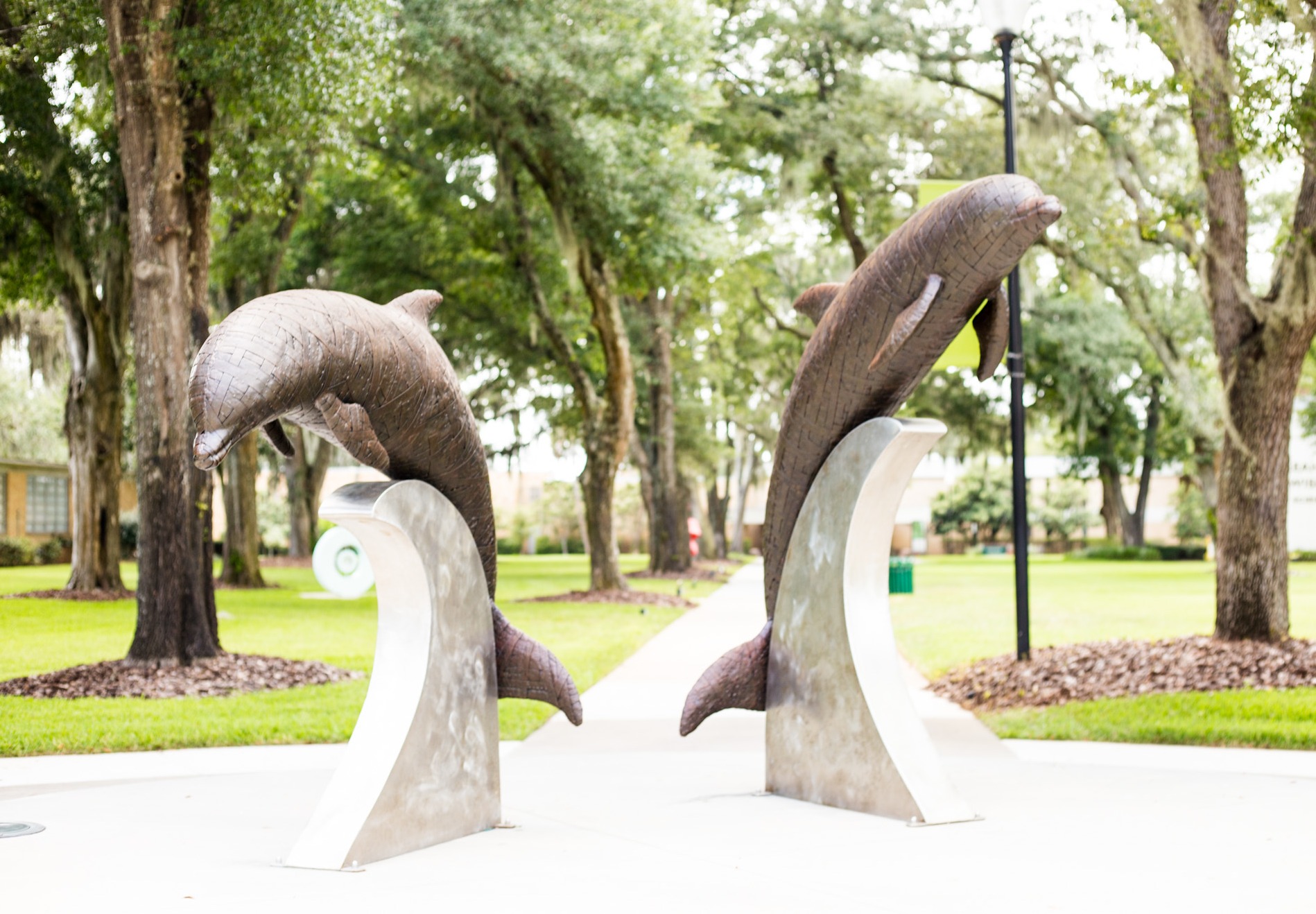 JU's Dolphin Statues