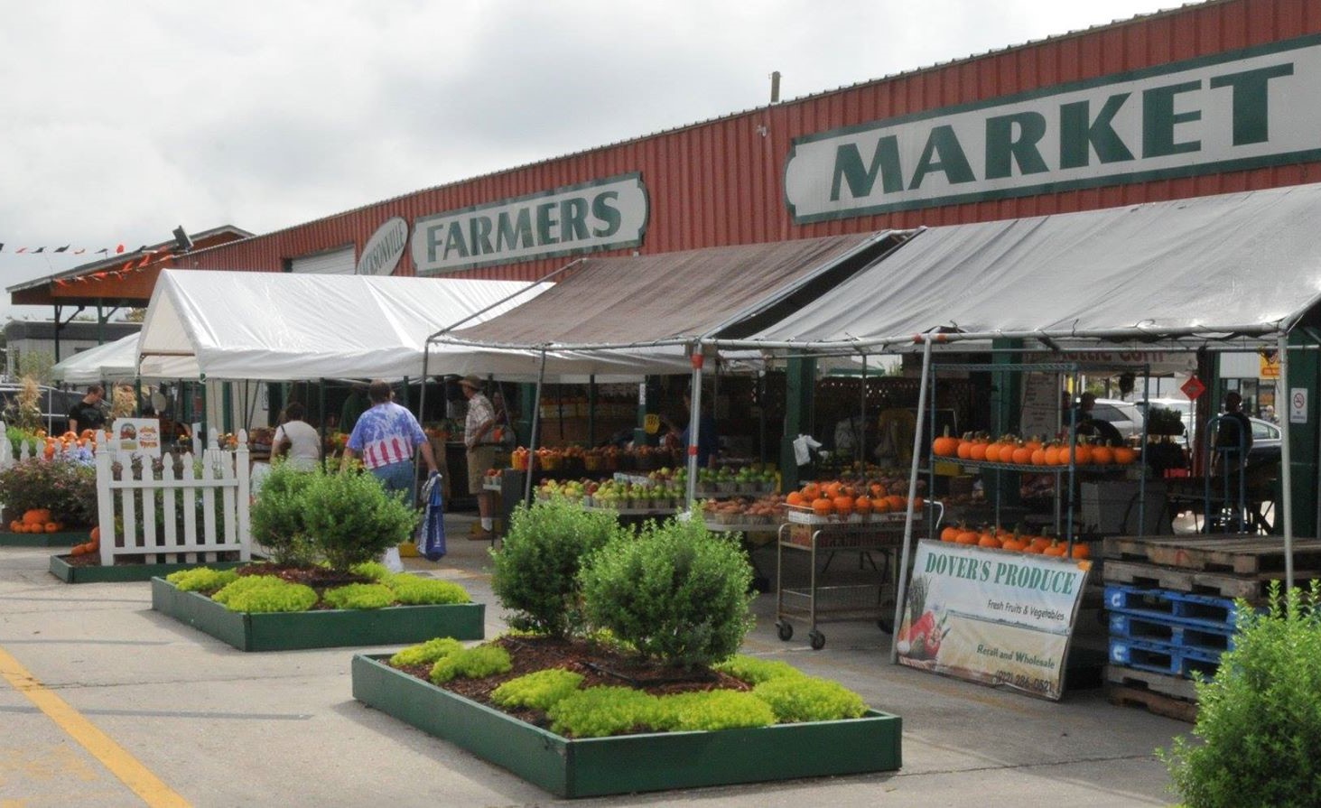 Image from Jax Farmers Market