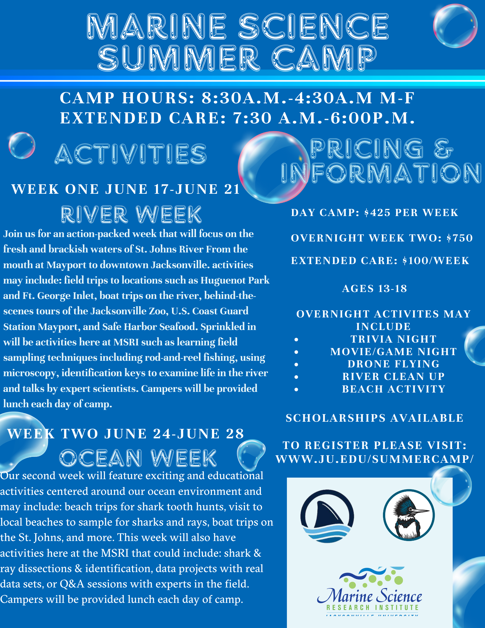 Updated Sum Camp Flyer