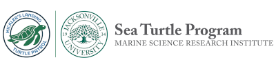 Sea Turtle Program: Marine Science Research Institute Logo