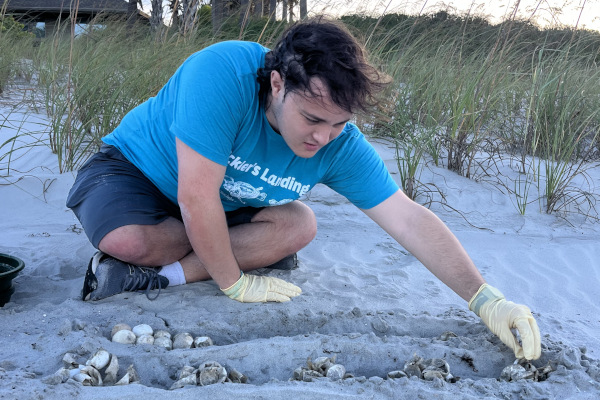 JU student, Alex Jefferson sorting the contents found in a sea turtle nest during a routine nest evaluation.
