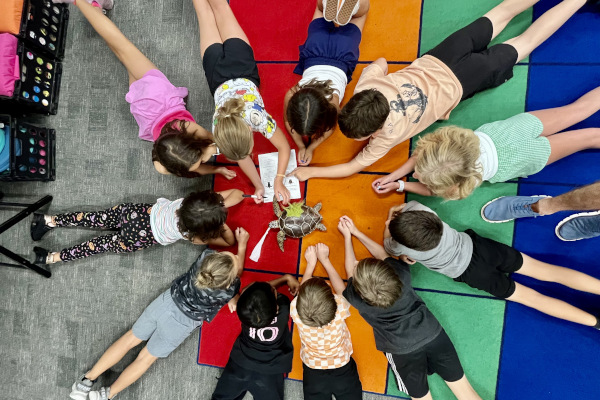 A group of students on a colorful rug studying a plastic turtle replica.
