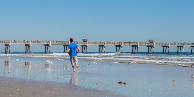 Picture of a caucasian male who is wearing a blue shirt and cargo shorts, running barefoot on the beach beside seagulls who are dipping their wings in the water. The man is running next to the pier.