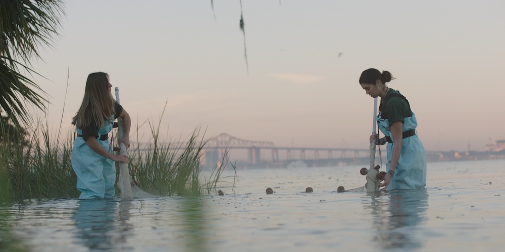 JU Students doing research in the St. Johns River