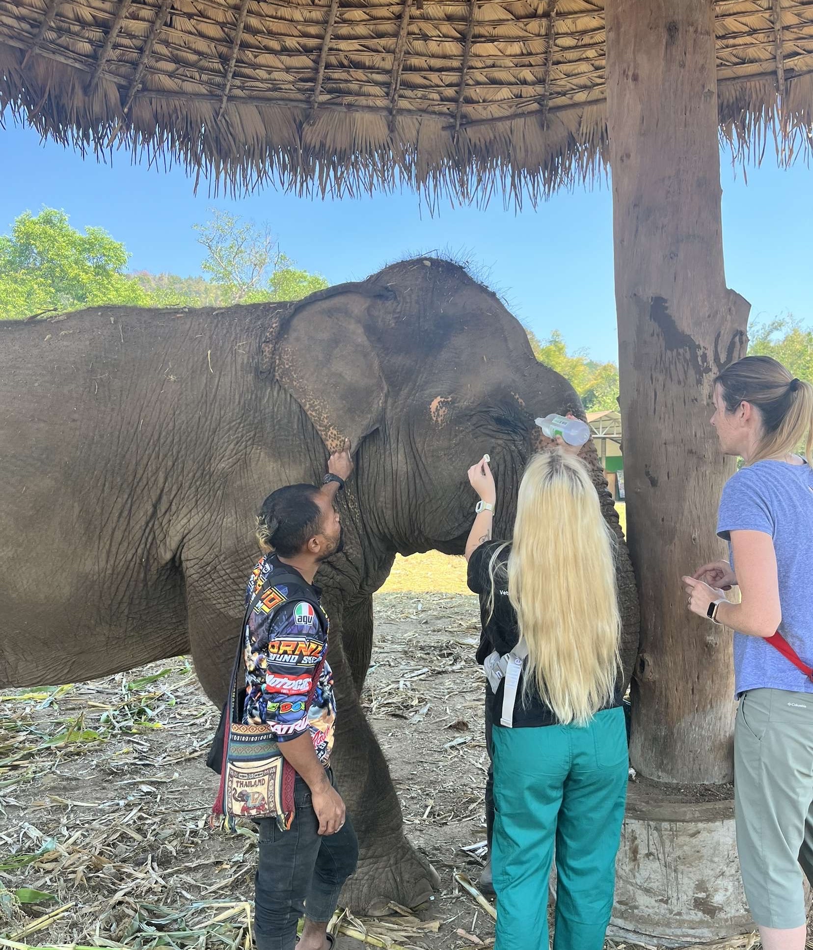 Sadie at elephant sanctuary