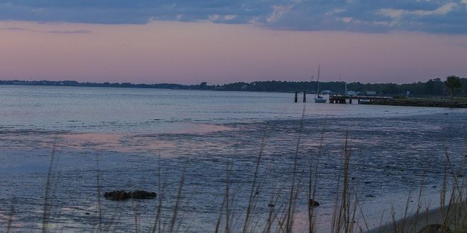 The shore of the St. Johns River at dusk