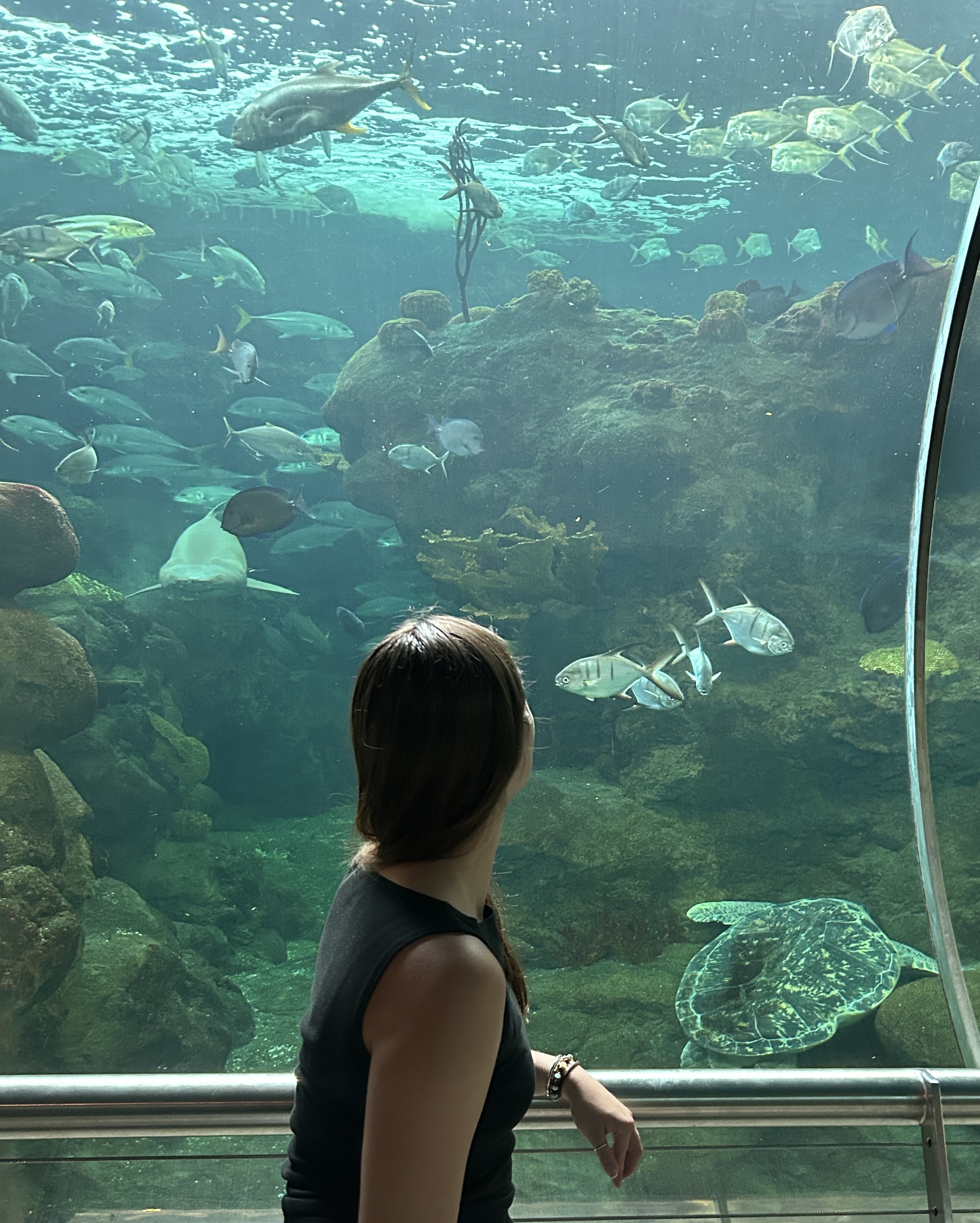 Natalie Holden Body Image Natalie Holden at the Florida Aquarium