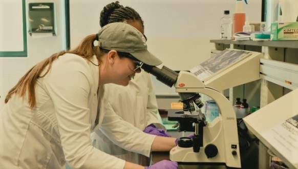 female students look into microscropes in a chemistry lab