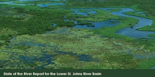 image of the lower st. johns river basin. 